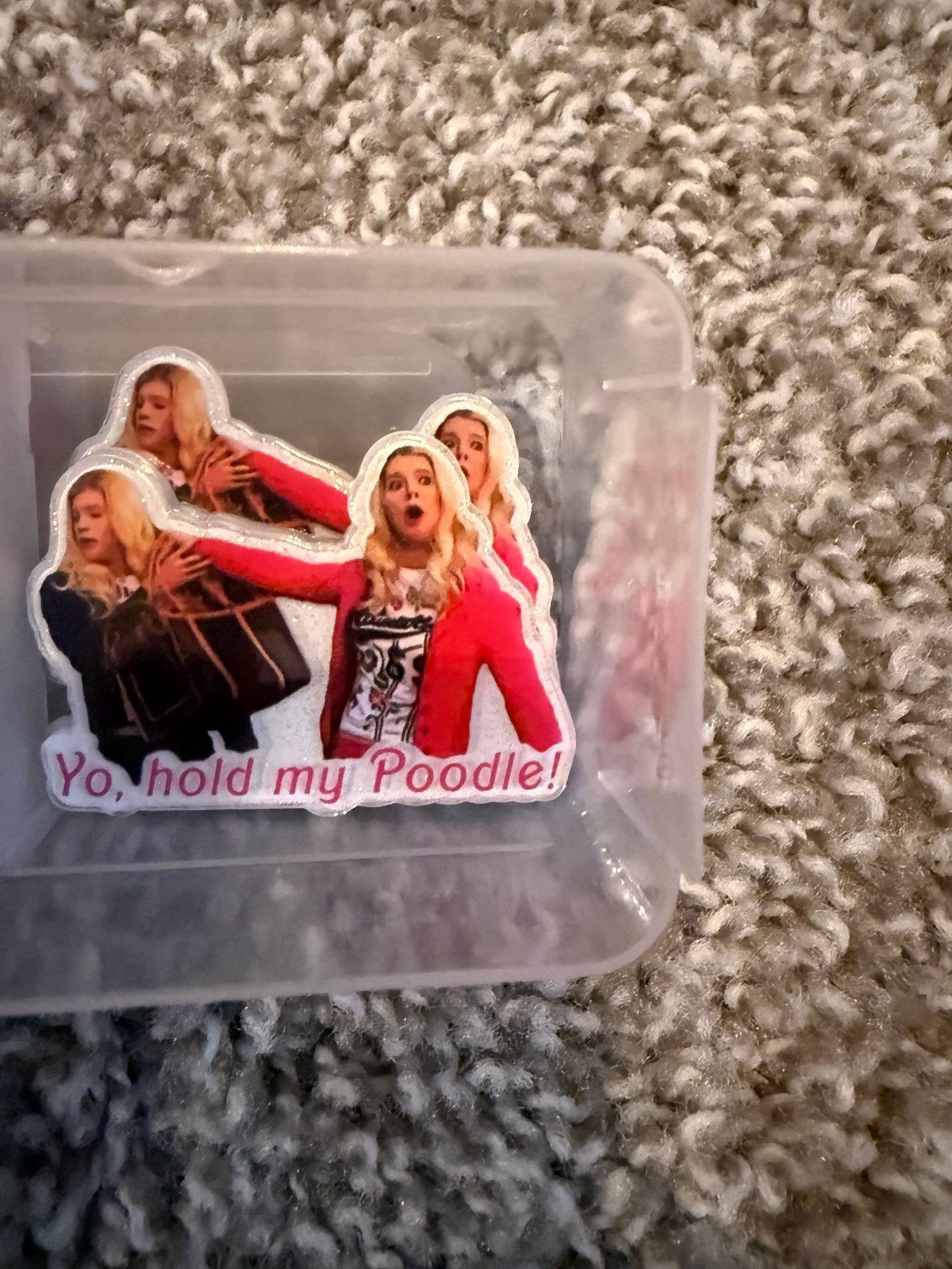 Hold my poodle acrylic flat back