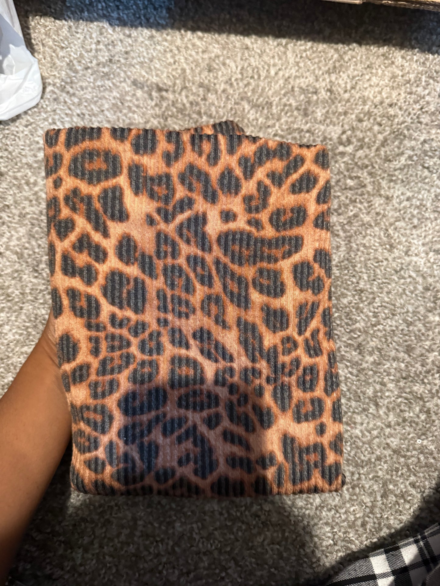 Cheetah urban yard
